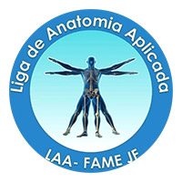 laa-logo
